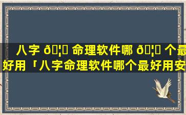 八字 🦁 命理软件哪 🦉 个最好用「八字命理软件哪个最好用安全」